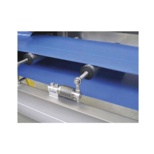 421 Light Capacity Belt Scale